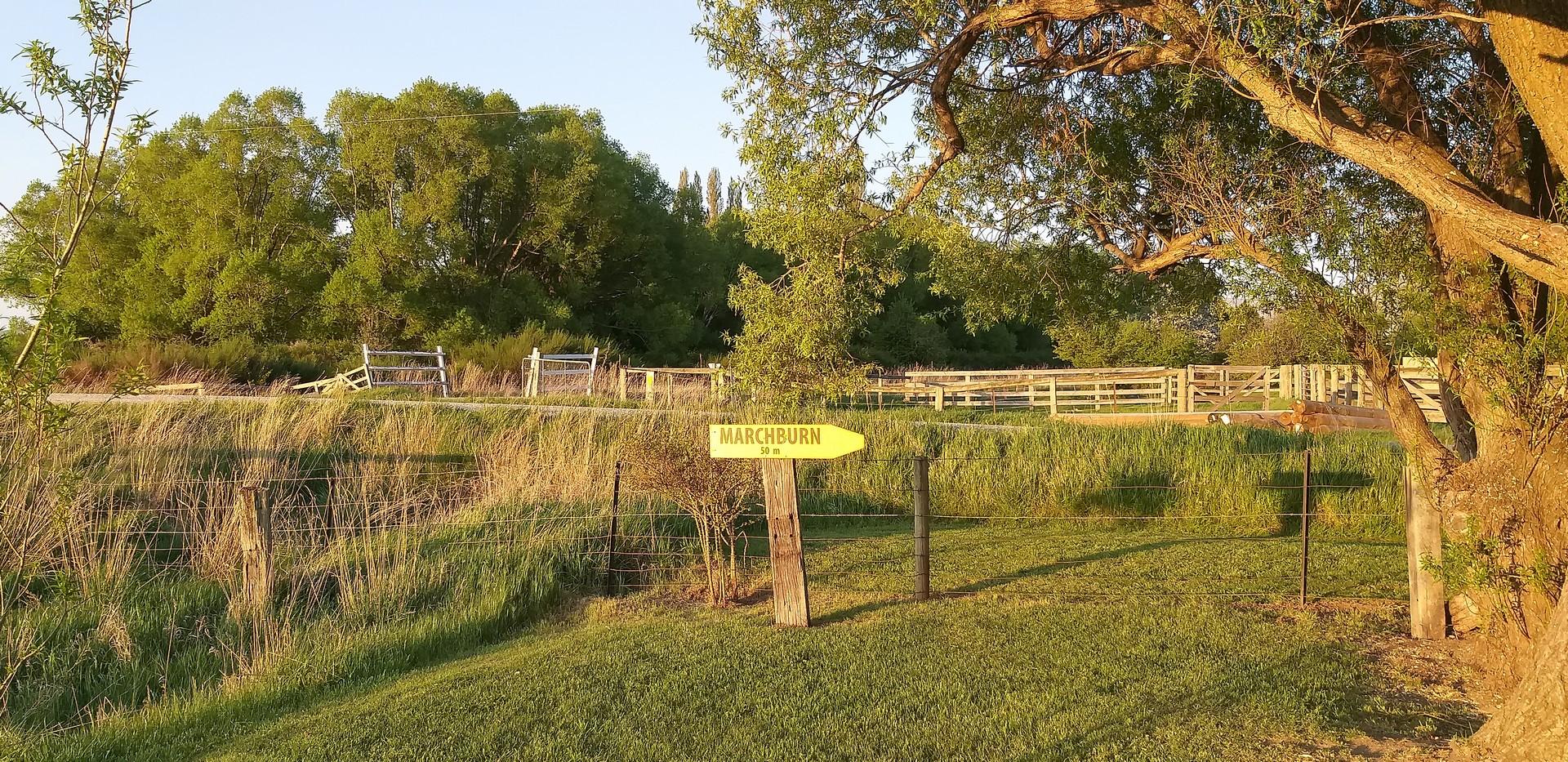 location, marchburn, marchburn lodge, otago